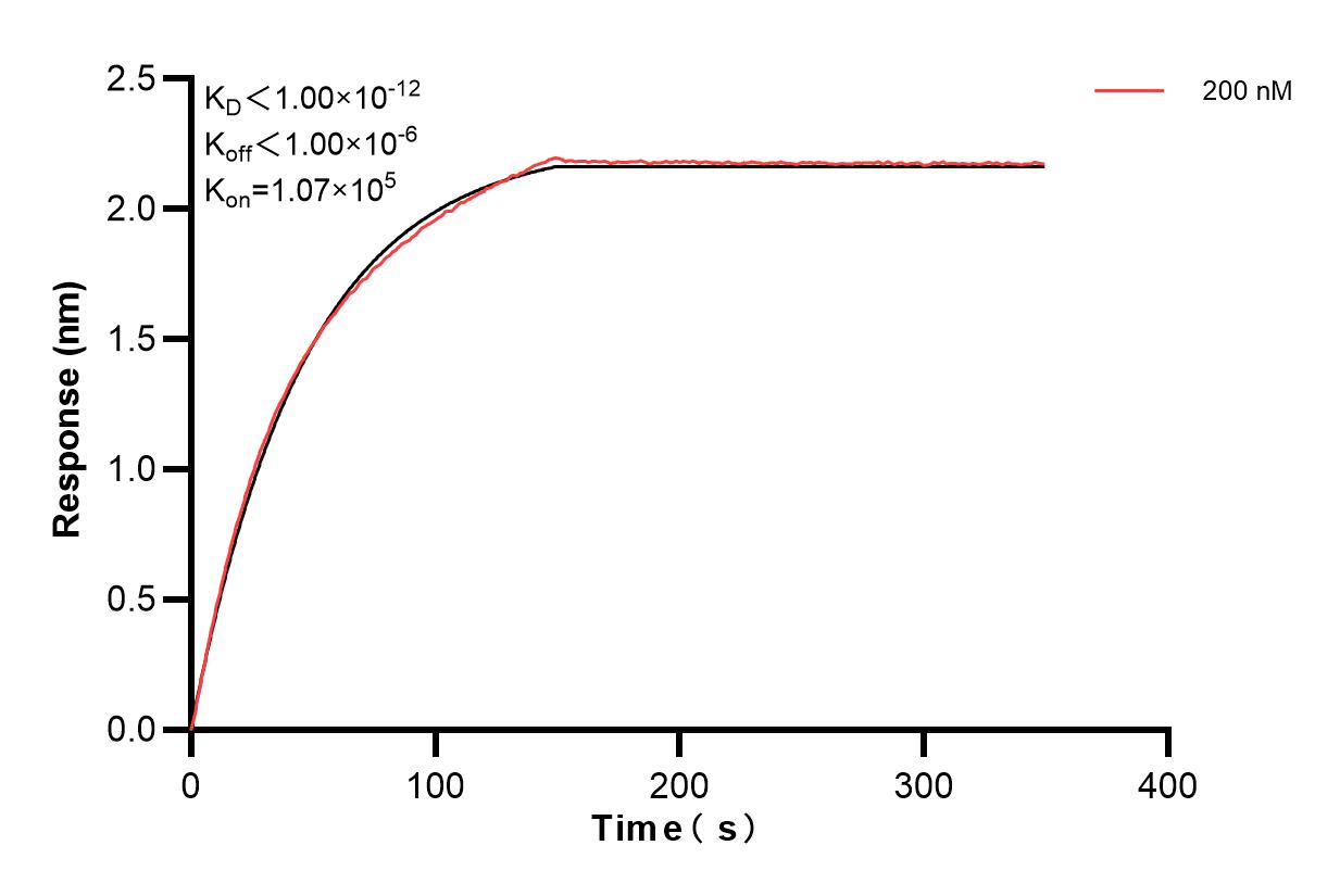 Biolayer interferometry (BLl) kinetic assay of 85764-3-PBS against Human DGKA was performed. The affinity constant is below 1 pM. Affinity and Kinetic Characterization of 85764-3-PBS