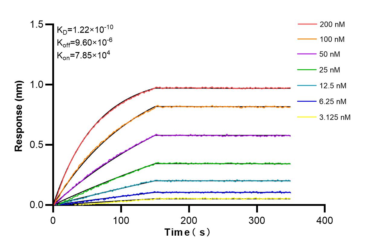 Affinity and Kinetic Characterization of 85765-3-RR