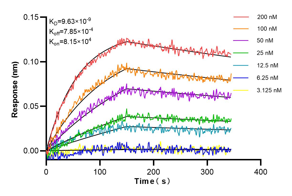Affinity and Kinetic Characterization of 85820-1-RR