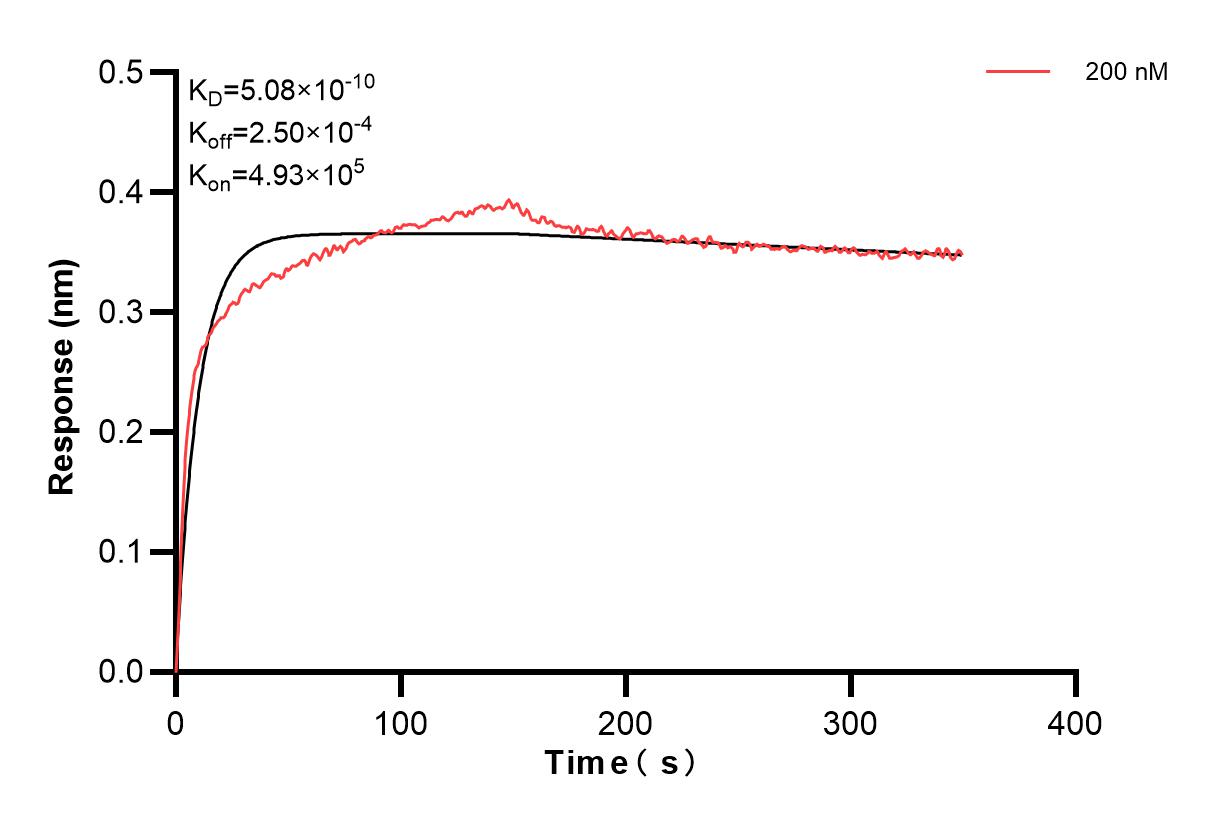 Affinity and Kinetic Characterization of 85820-3-PBS