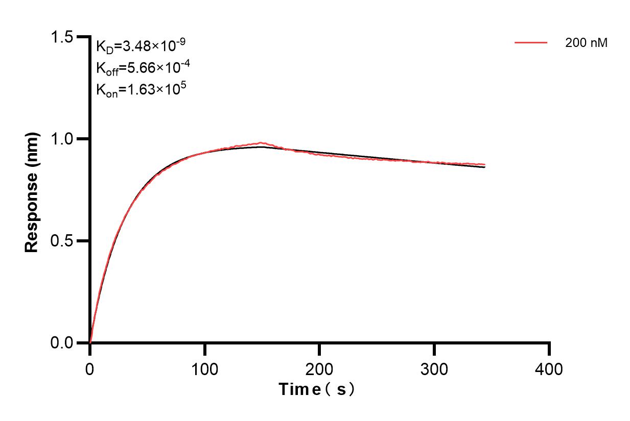 Affinity and Kinetic Characterization of 85826-2-PBS