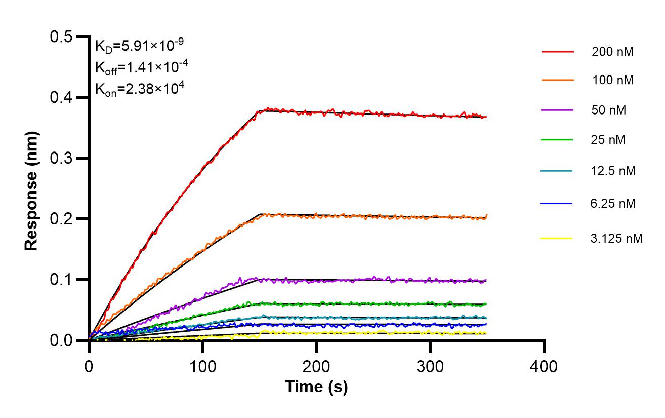 Affinity of 85829-2-RR