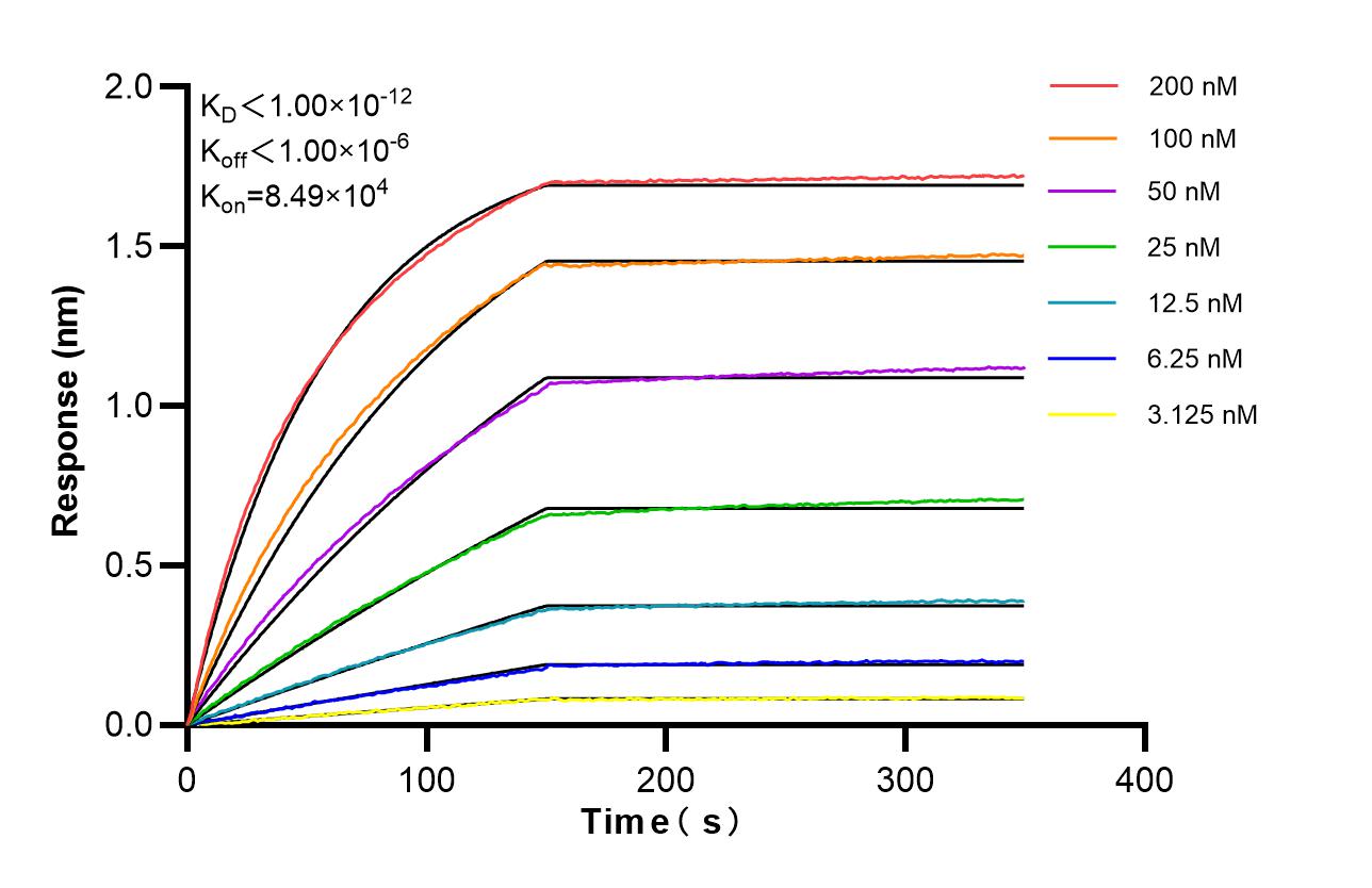 Affinity of 85844-2-RR Affinity of 85844-2-RR