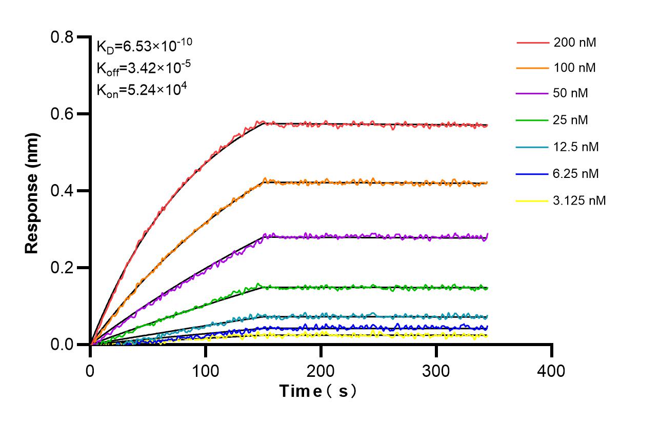 Biolayer interferometry (BLl) kinetic assays of 85851-4-RR against Human PDRG1 were performed. The affinity constant is 0.653 nM. Affinity and Kinetic Characterization of 85851-4-RR