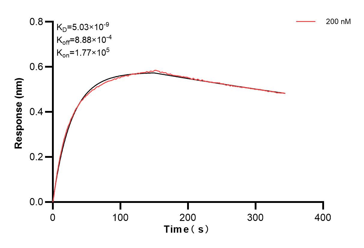 Affinity and Kinetic Characterization of 85856-5-PBS