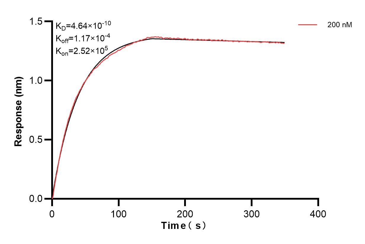 Affinity and Kinetic Characterization of 85952-2-PBS