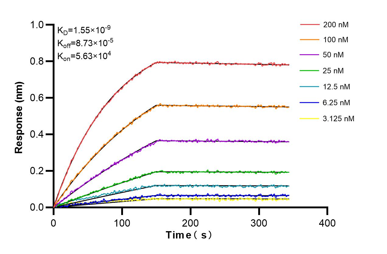 Affinity and Kinetic Characterization of 85986-2-RR