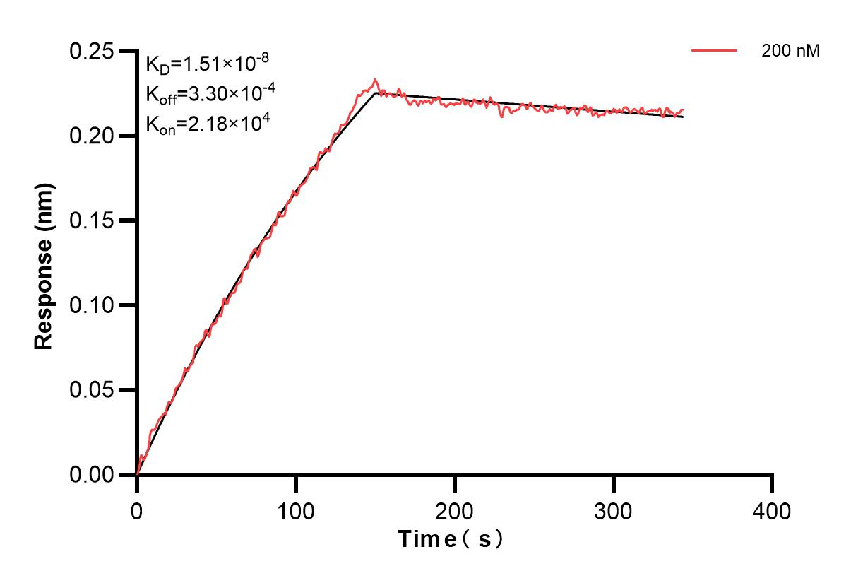 Biolayer interferometry (BLl) kinetic assay of 85989-4-PBS against Human ADAM10 was performed. The affinity constant is 15.1 nM. Affinity of 85989-4-PBS