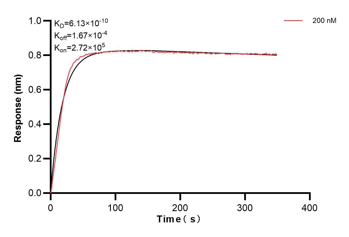Biolayer interferometry (BLl) kinetic assay of 85993-2-PBS against Human S100A7 was performed. The affinity constant is 0.613 nM. Affinity and Kinetic Characterization of 85993-2-PBS