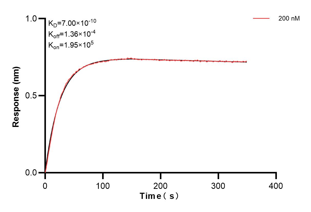 Biolayer interferometry (BLl) kinetic assay of 85993-3-PBS against Human S100A7 was performed. The affinity constant is 0.700 nM. Affinity and Kinetic Characterization of 85993-3-PBS