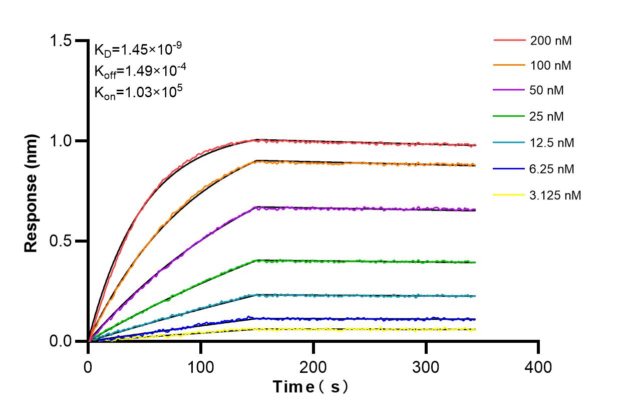 Affinity and Kinetic Characterization of 86014-1-RR