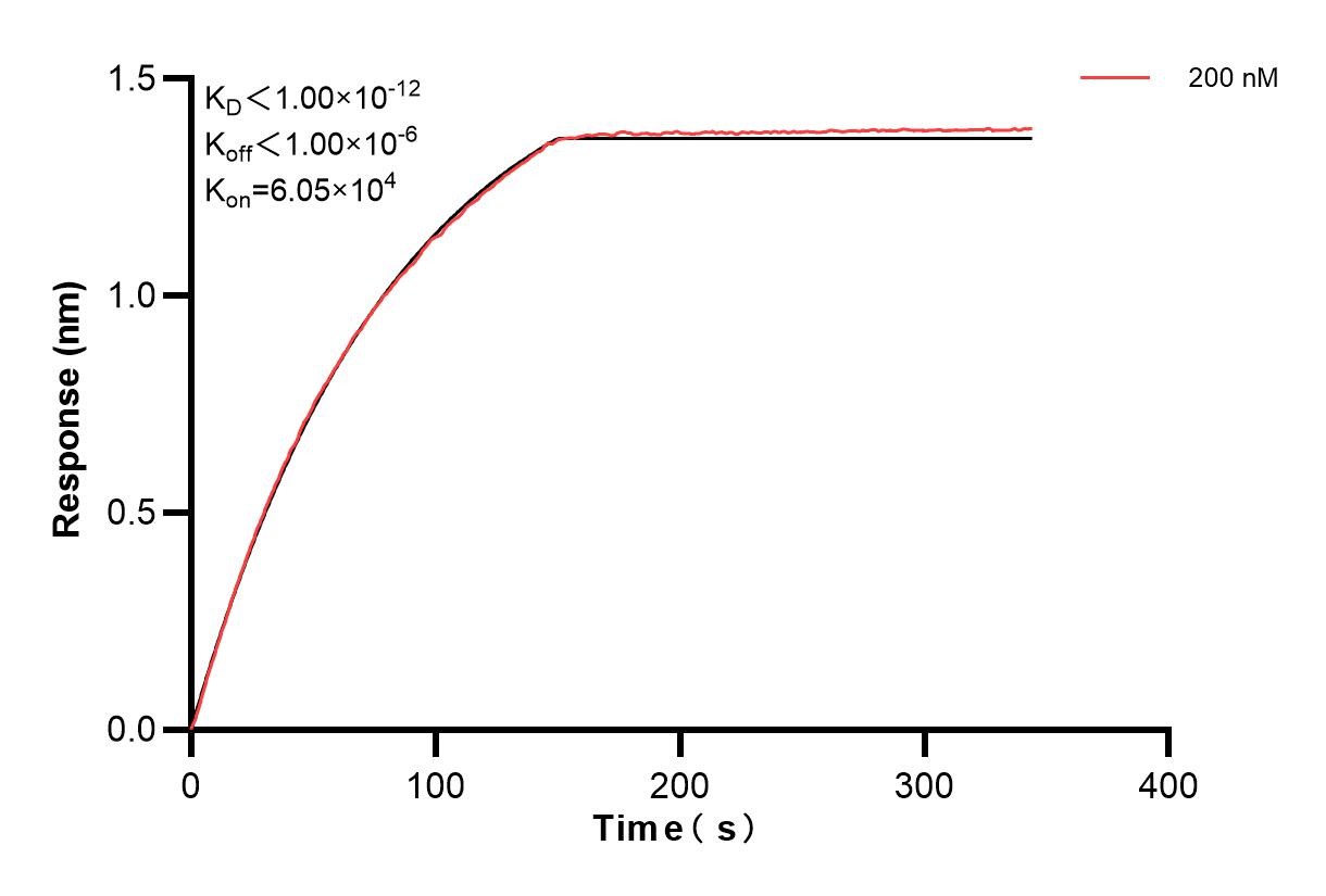 Affinity of 86045-3-PBS