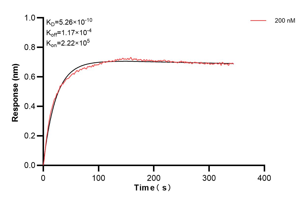 Affinity and Kinetic Characterization of 86057-4-PBS