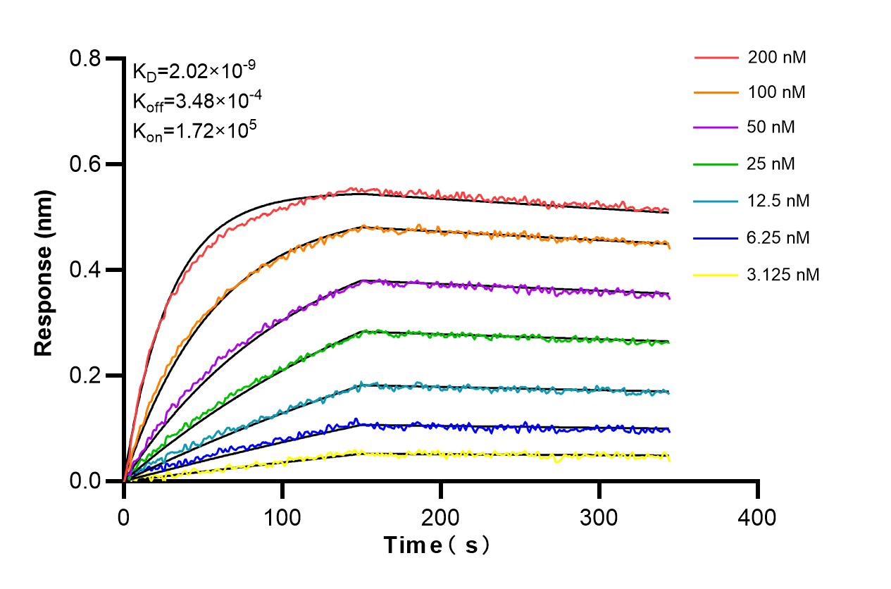 Affinity and Kinetic Characterization of 86101-2-RR