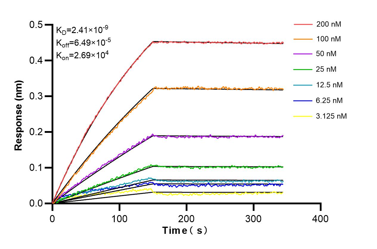 Affinity and Kinetic Characterization of 86130-1-RR