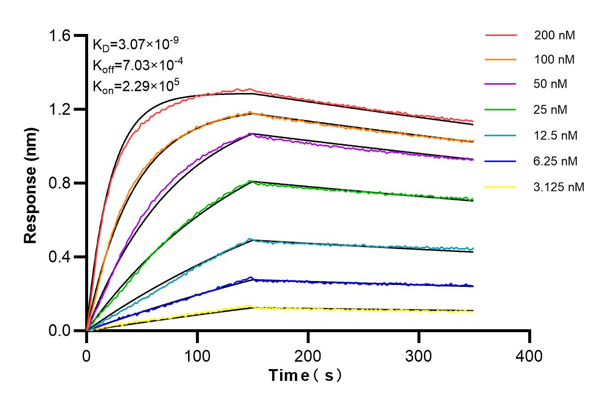 Affinity and Kinetic Characterization of 86141-1-RR