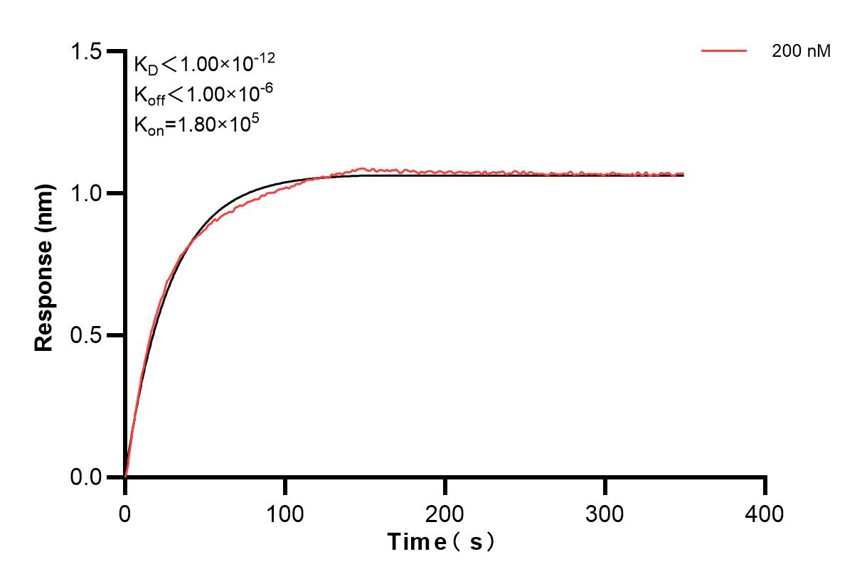 Biolayer interferometry (BLl) kinetic assay of 86155-3-PBS against Human TACSTD2 was performed. The affinity constant is below 1 pM. Affinity and Kinetic Characterization of 86155-3-PBS