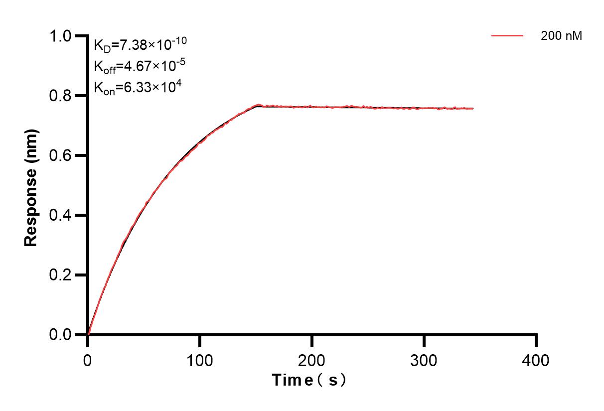 Affinity of 86161-5-PBS