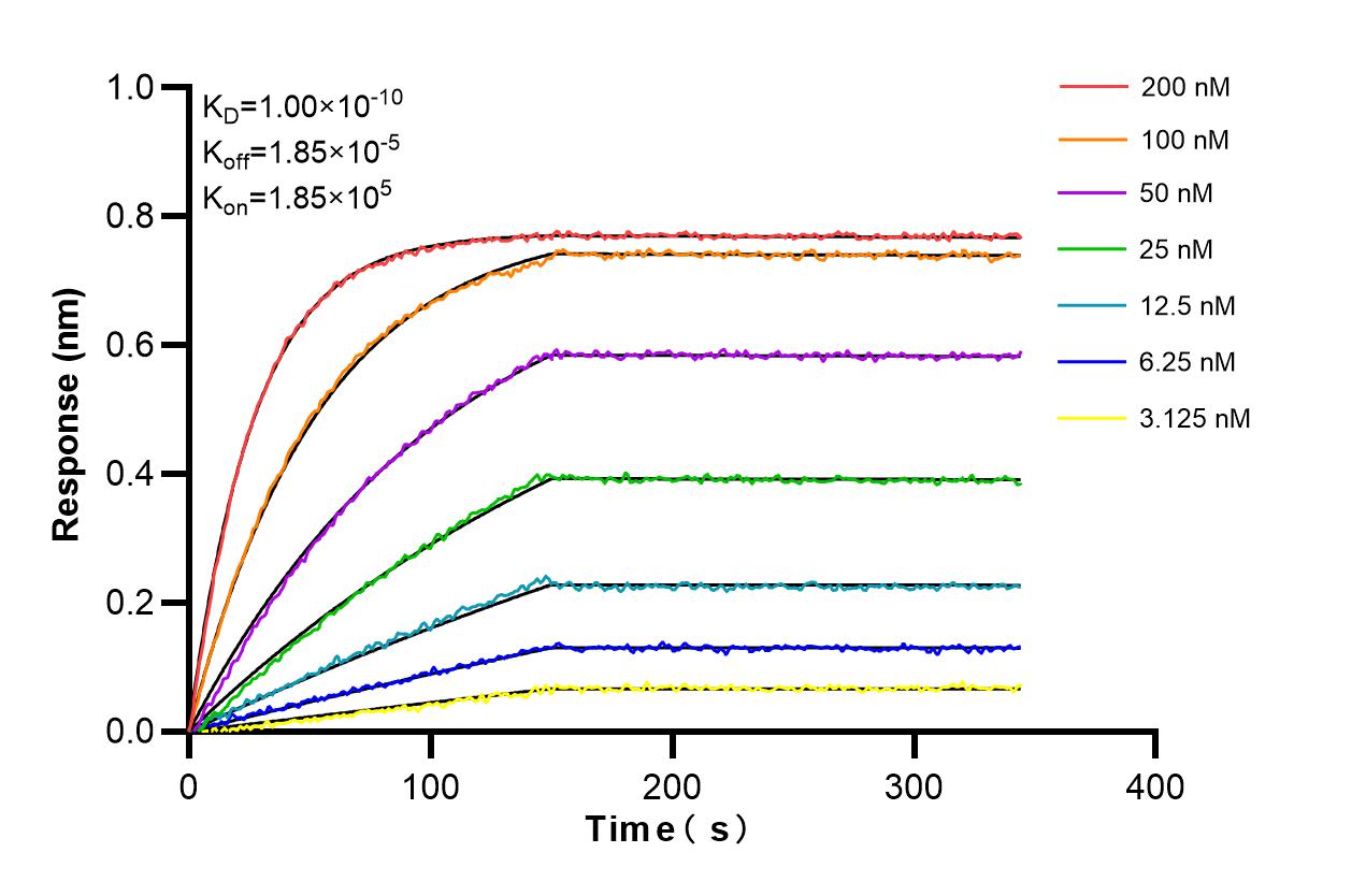 Affinity and Kinetic Characterization of 86205-2-RR