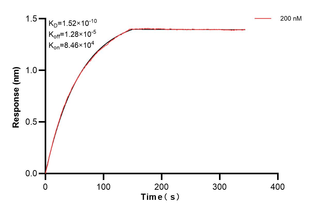 Affinity of 86217-2-PBS