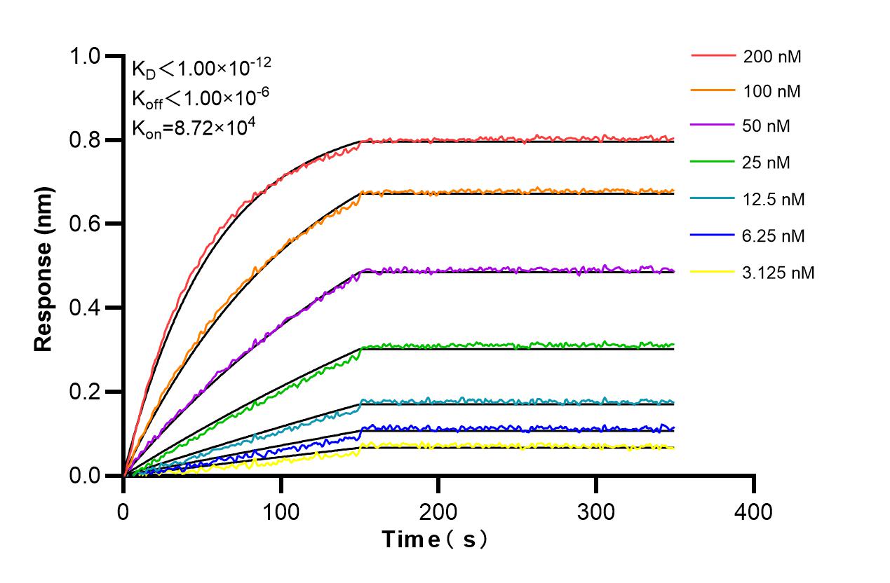 Affinity and Kinetic Characterization of 86226-3-RR