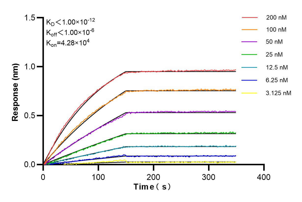 Biolayer interferometry (BLl) kinetic assays of 86231-2-RR against Human PAH were performed. The affinity constant is below 1 pM. Affinity and Kinetic Characterization of 86231-2-RR
