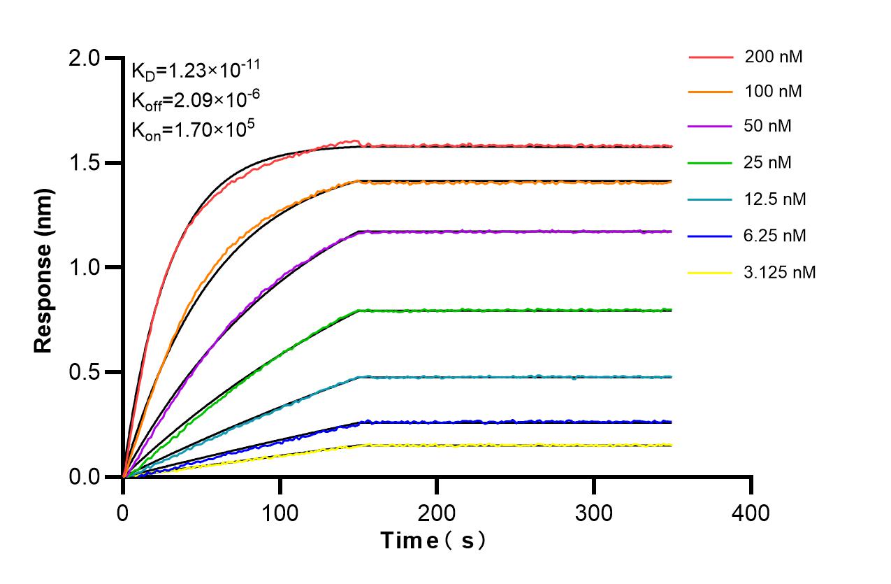Affinity and Kinetic Characterization of 86233-5-RR Affinity and Kinetic Characterization of 86233-5-RR