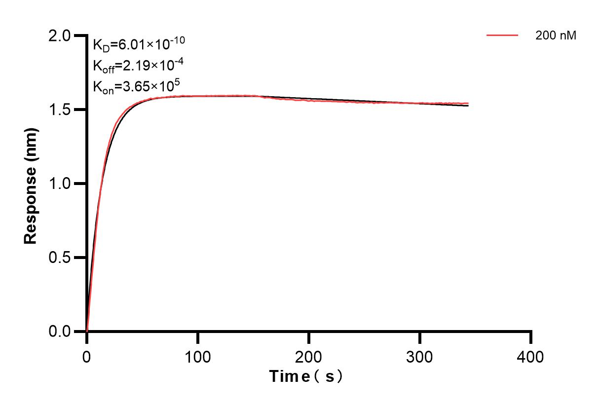 Affinity of 86259-2-PBS