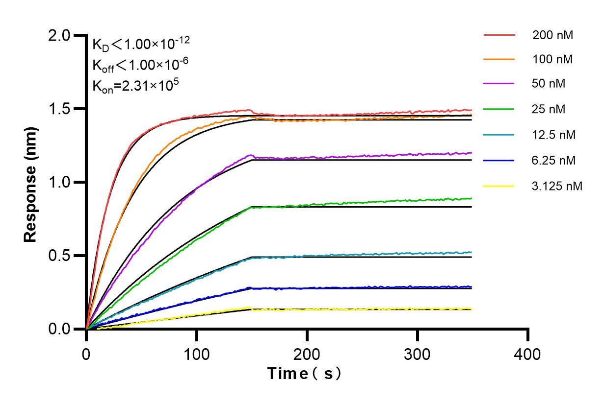 Affinity and Kinetic Characterization of 86259-3-RR