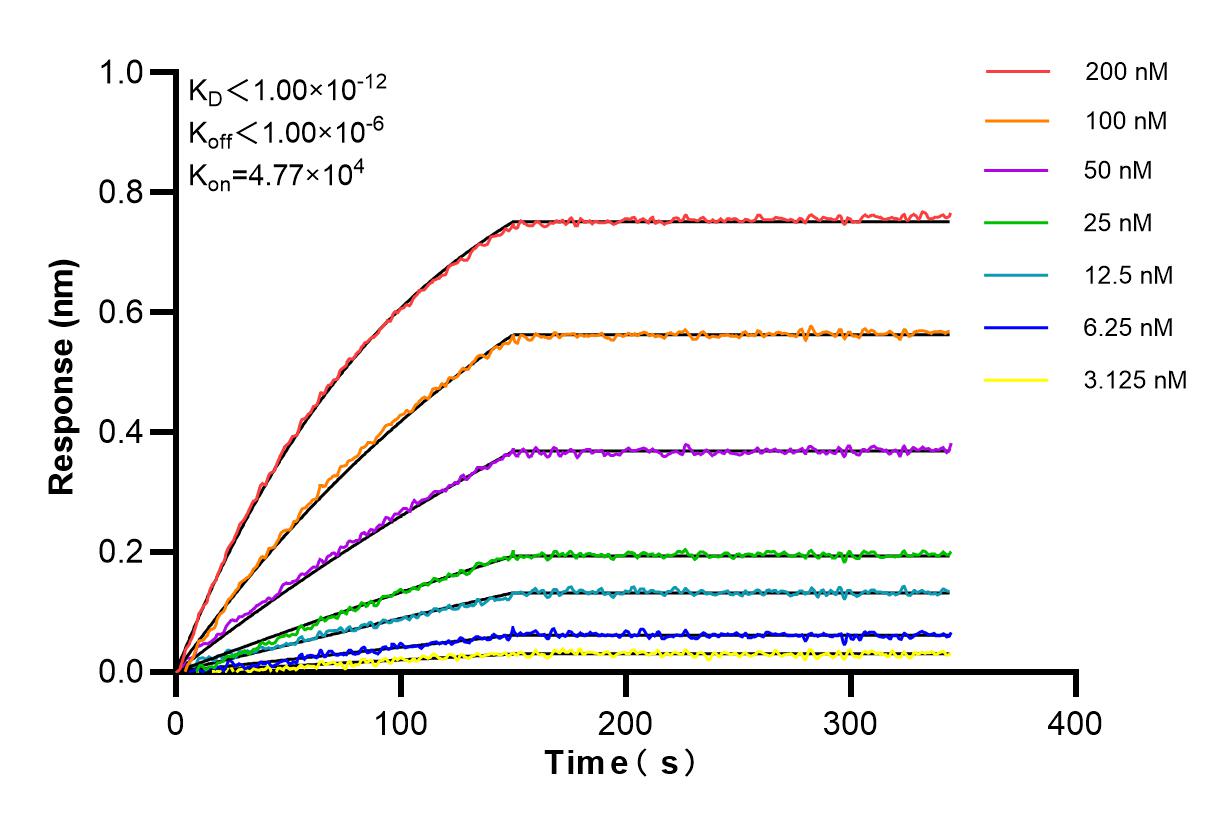 Affinity and Kinetic Characterization of 86265-3-RR