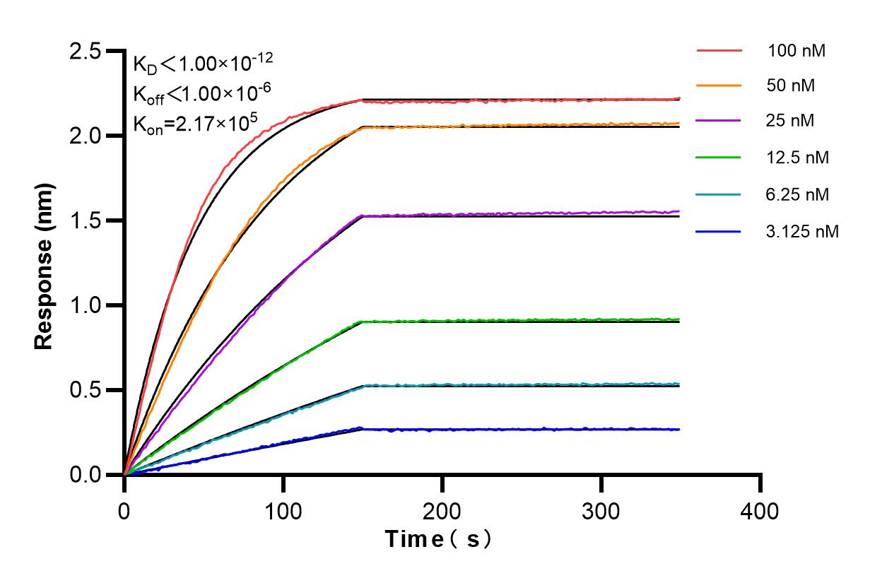 Affinity and Kinetic Characterization of 86268-3-RR