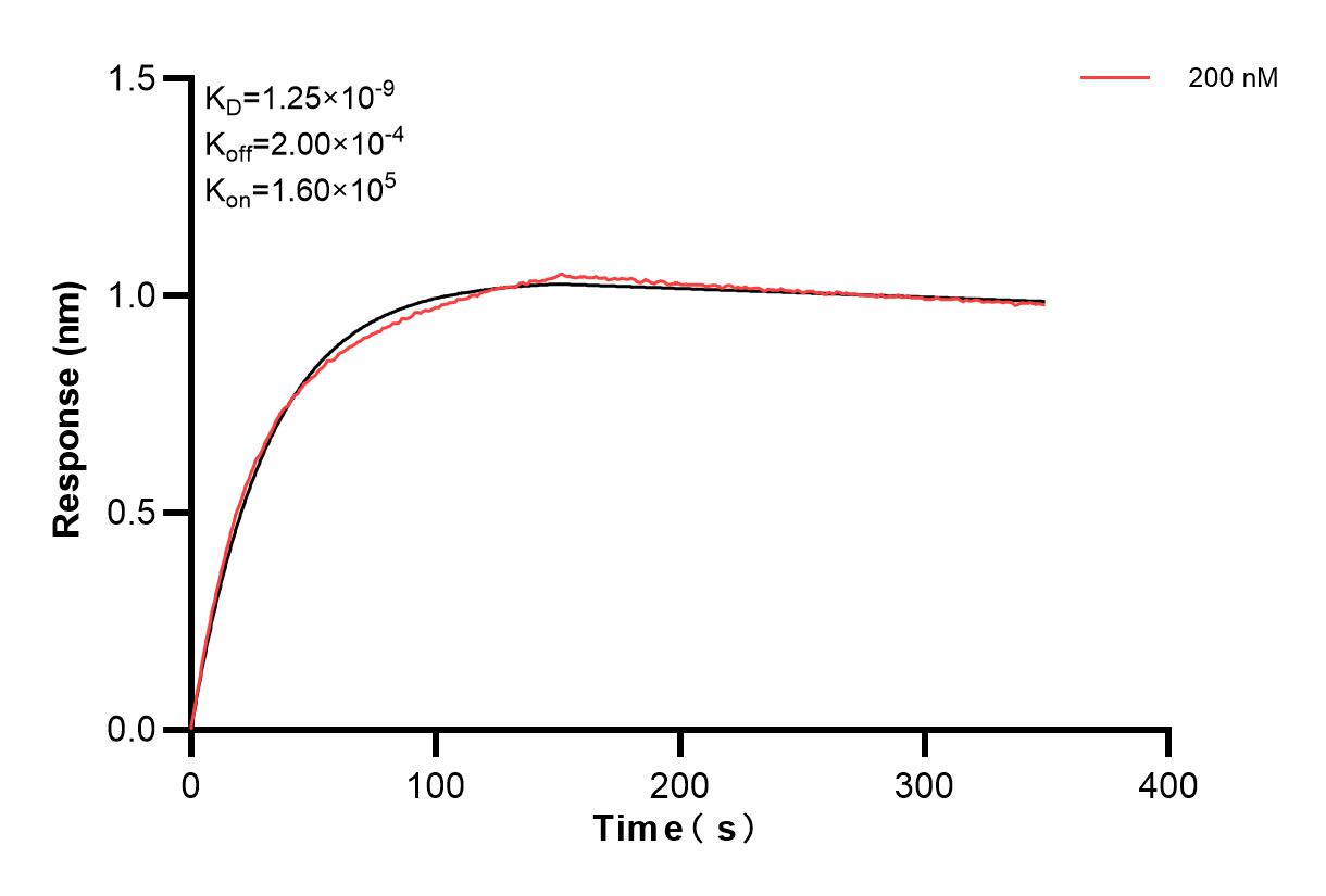Biolayer interferometry (BLl) kinetic assay of 86271-2-PBS against Human Lp-PLA2/PLA2G7 was performed. The affinity constant is 1.25 nM. Affinity of 86271-2-PBS