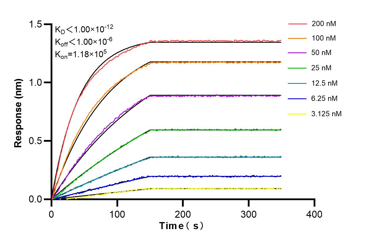 Affinity and Kinetic Characterization of 86285-3-PBS Affinity and Kinetic Characterization of 86285-3-PBS