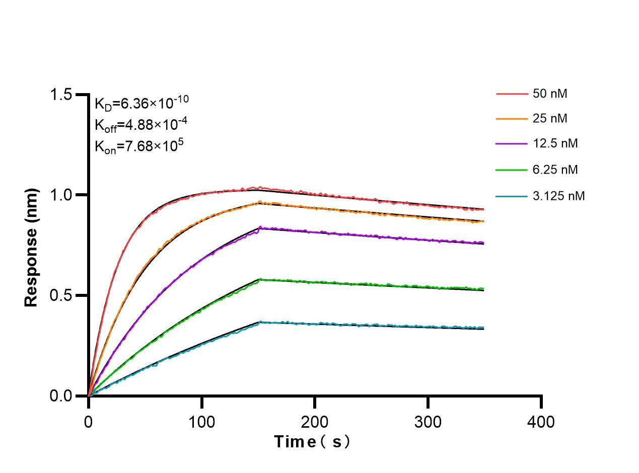 Affinity and Kinetic Characterization of 86291-2-RR