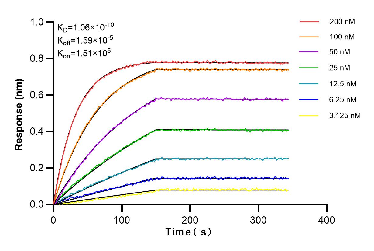 Affinity and Kinetic Characterization of 86296-3-RR