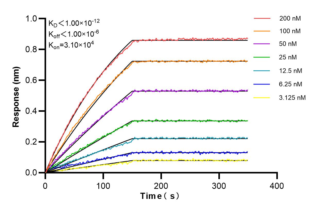 Affinity and Kinetic Characterization of 86309-2-RR