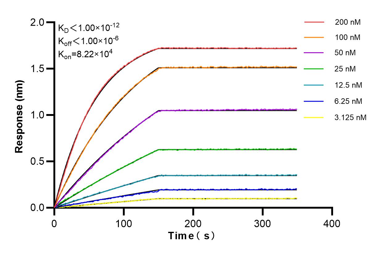 Affinity and Kinetic Characterization of 86315-2-RR