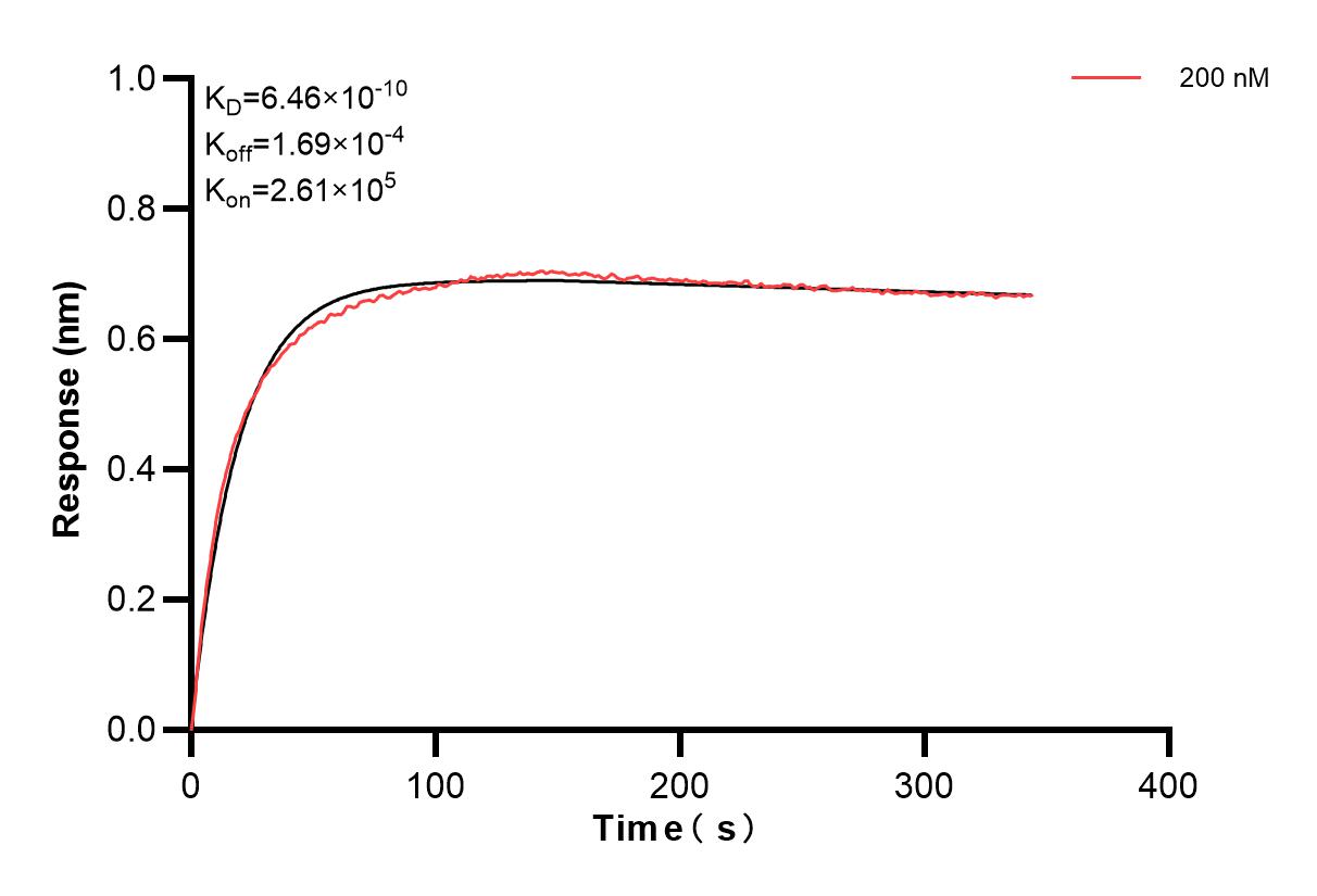 Affinity and Kinetic Characterization of 86335-2-PBS Affinity and Kinetic Characterization of 86335-2-PBS