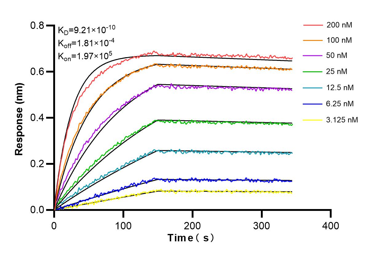 Affinity and Kinetic Characterization of 86335-3-RR