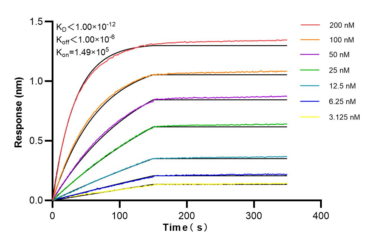 Biolayer interferometry (BLl) kinetic assays of 86341-3-RR against Human IGSF8/CD316 were performed. The affinity constant is below 1 pM. Affinity and Kinetic Characterization of 86341-3-RR