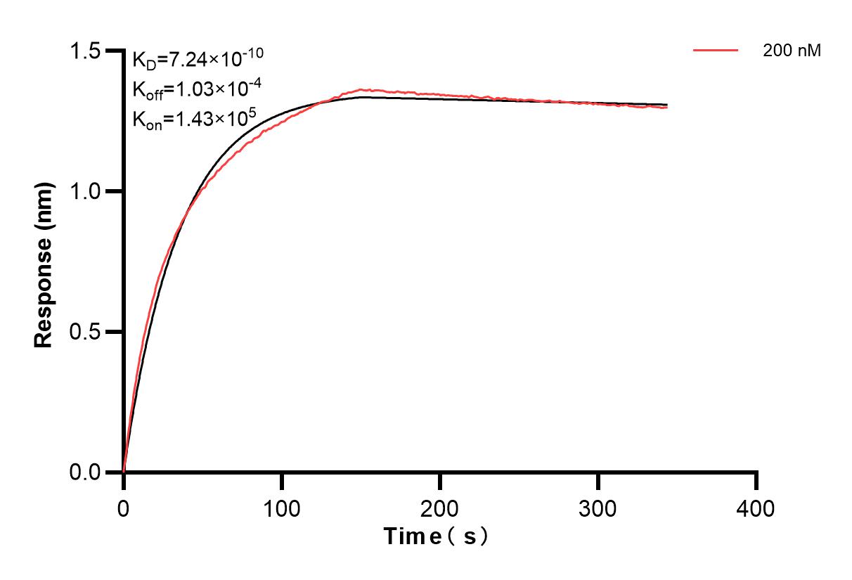 Affinity and Kinetic Characterization of 86342-4-PBS Affinity and Kinetic Characterization of 86342-4-PBS