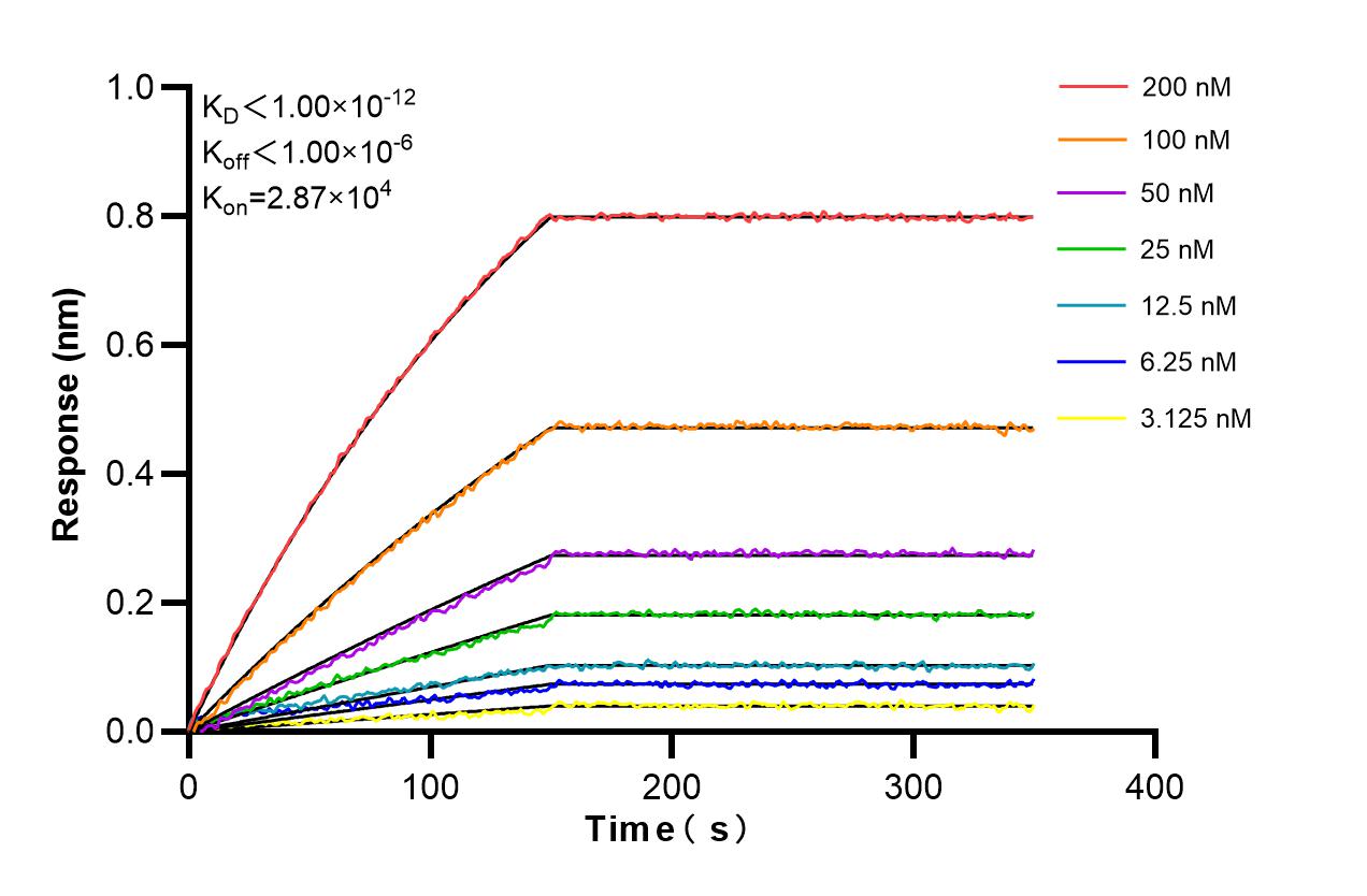 Affinity and Kinetic Characterization of 86347-3-RR