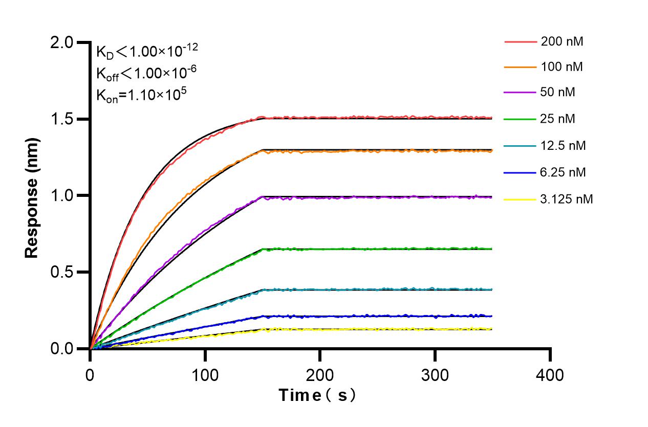 Affinity and Kinetic Characterization of 86362-2-RR