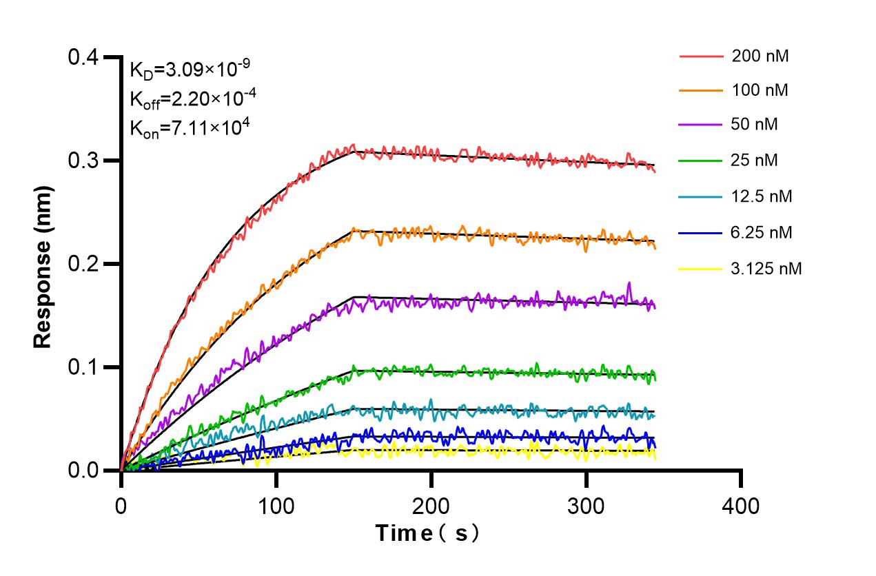 Affinity and Kinetic Characterization of 86366-2-RR