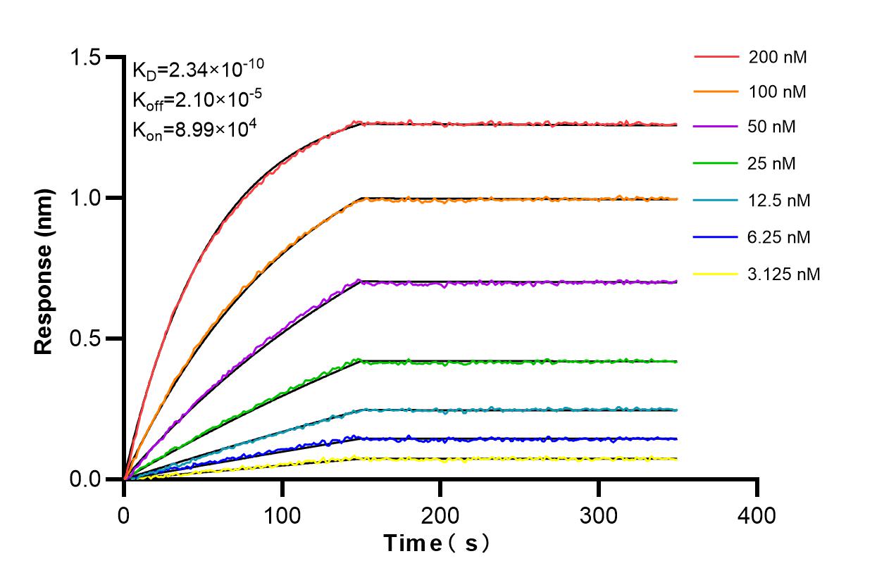 Affinity and Kinetic Characterization of 86368-1-RR