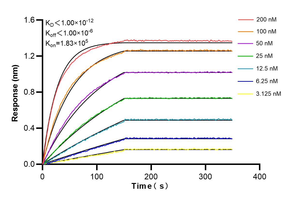 Affinity and Kinetic Characterization of 86386-3-RR