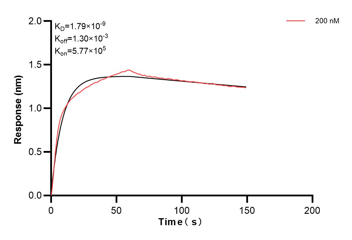 Affinity and Kinetic Characterization of 86387-1-PBS