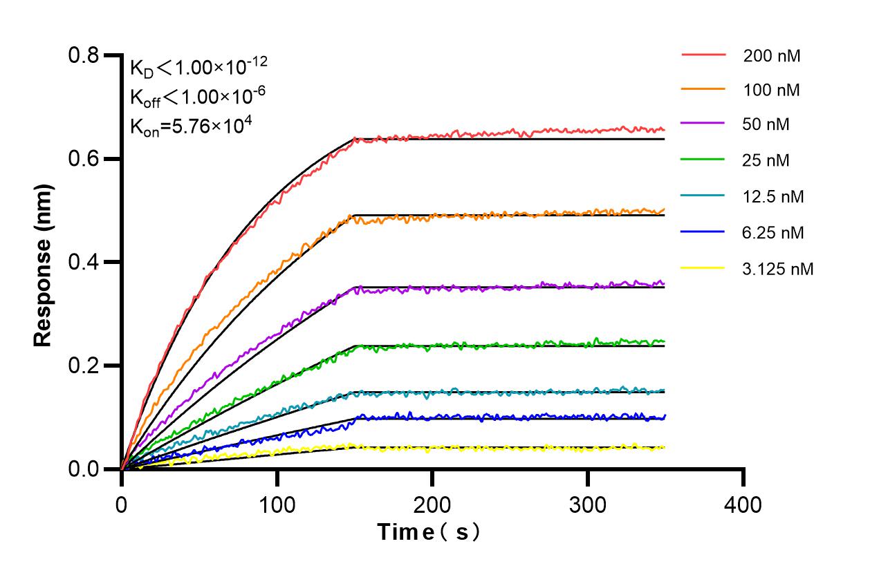 Affinity and Kinetic Characterization of 86408-1-PBS