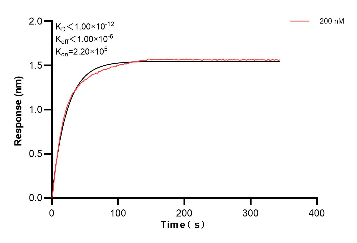 Affinity and Kinetic Characterization of 86408-2-PBS