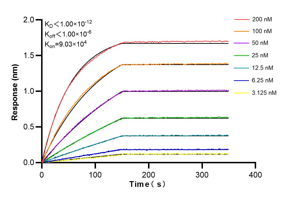 Affinity and Kinetic Characterization of 86424-1-RR